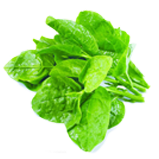 多年品牌全案策劃經(jīng)驗(yàn)